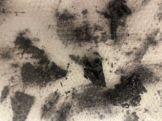 IMG_3093.jpeg