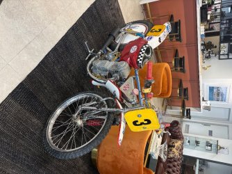IMG_0375.jpeg