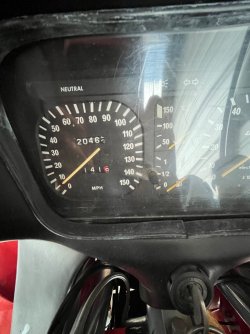 IMG_3536.jpeg