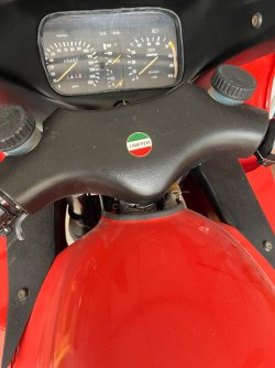 IMG_3537.jpeg