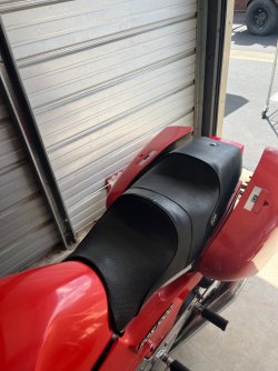 IMG_3738.jpeg IMG_3738.jpeg