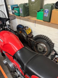 IMG_4553.jpeg
