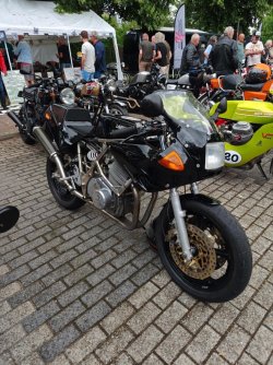 IMG_2475.jpeg