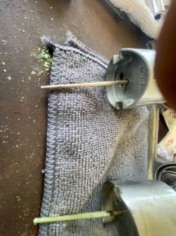 Needle 2.jpg