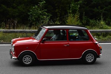 Mini med small.jpg