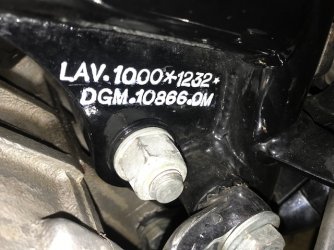 The Aussie.jpg