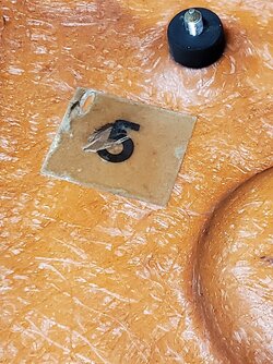 20210206_185133.jpg