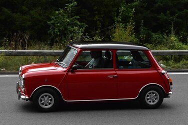 Mini med small.jpg
