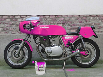 CIMG5189pink_original_v.jpg