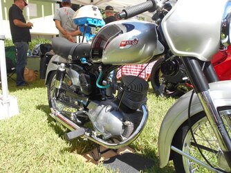 GOMA-Duc-06.JPG