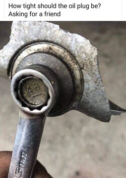 Sump Plug Torque.jpg