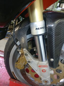 IMG_20200413_174949.jpg
