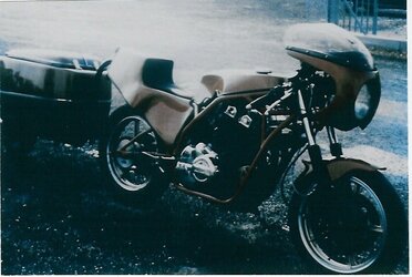 Tamanian MM.jpg
