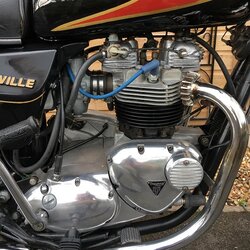 LH Triumph.jpg LH Triumph.jpg