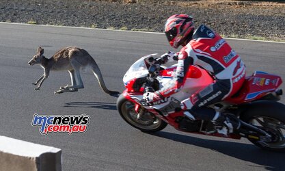 ASBK-2017-TBG-Rnd5-MorganPark-Starting-Kangaroo.jpg