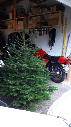 IMG-20211224-WA0014.jpeg
