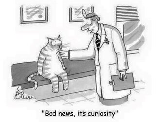 It's curiosity.jpg
