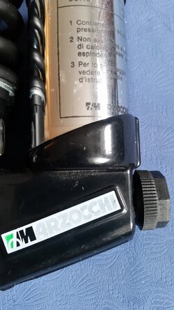 20220402_110546.jpg