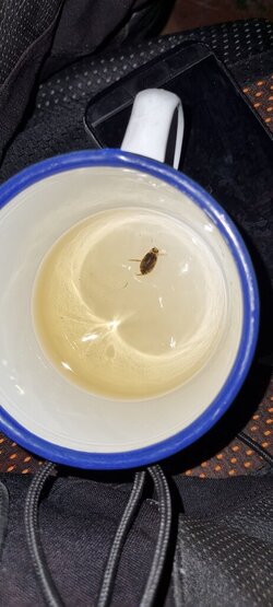 20220412_215804.jpg