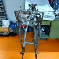 frameSFC_Elettronico_6.jpg