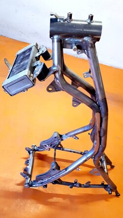 frameSFC_Elettronico_7.jpg