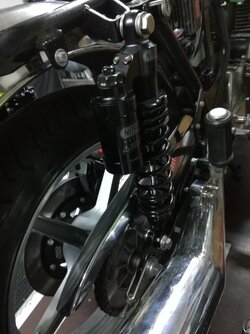 Rear-shocks_11.jpg