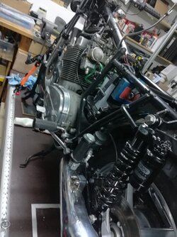 Rear-shocks_12.jpg
