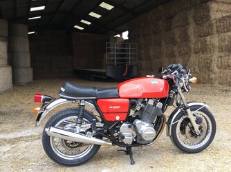 2022 01 29  Down on the Farm.jpg