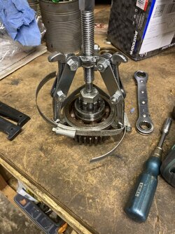 IMG_1334.JPEG