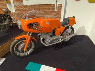 IMG_7399.jpg