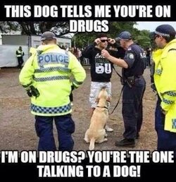 6 drugs.JPG