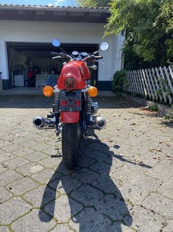 IMG_3927.jpeg