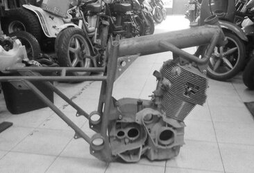 B7F1D534-45E5-4C33-87FD-6B22AAAACAD4.jpeg