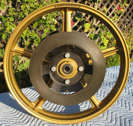 Campagnola wheel.jpg