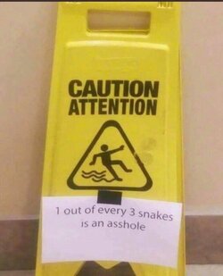 Snake.jpg