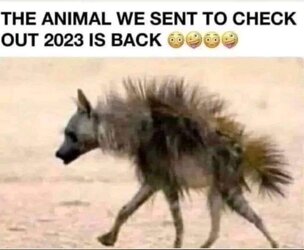 2023.jpeg