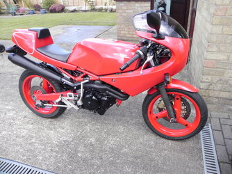 DSCN6730.JPG
