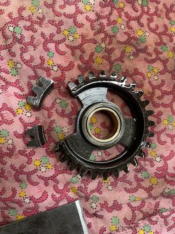 IMG_6588.jpeg