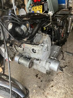 IMG_4516.jpeg IMG_4516.jpeg