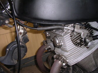 IMGP0380.JPG