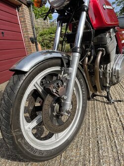 IMG_1564.jpeg