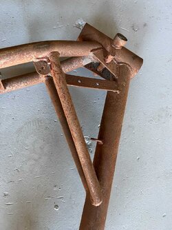 IMG_6217.jpg