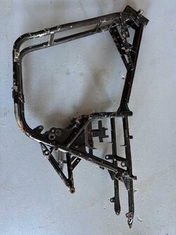 IMG_6225.jpg