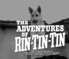 The Adventures of Rin Tin Tin 1954 - 1959 Opening and Closing ...
