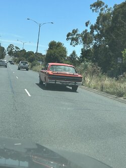 IMG_0998.jpeg IMG_0998.jpeg