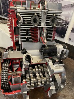 IMG_6384.jpeg