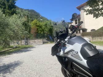 IMG_1724.jpeg IMG_1724.jpeg