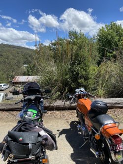 IMG_8850.jpeg