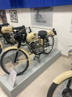 75 1954 Sport.jpg