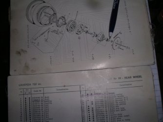 IMGP0474.JPG